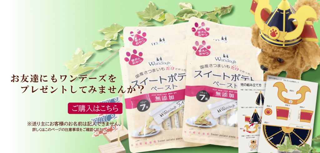 新しく里親募集を致します。（※8/30 全ての猫ちゃんに里親さんが決まり 