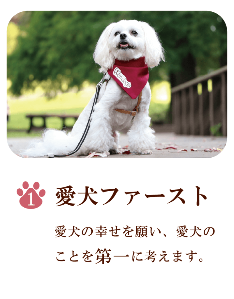 国産無添加愛犬のおやつ】ワンデーズホームページ - Wanday's 国産無添加愛犬のおやつ】ワンデーズホームページ - Wanday's