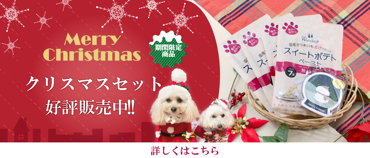 ワンデーズクリスマスセット