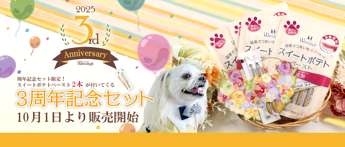 ✧新商品告知!!✧°˖】10月1日9：00～ワンデーズ3周年記念セット発売 