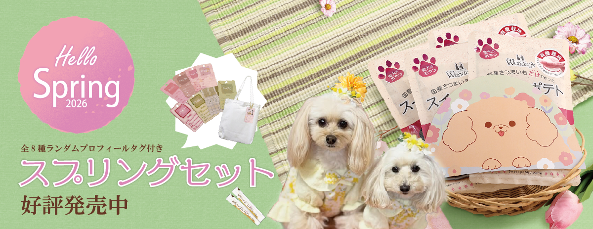 ✧商品情報✧°˖】ワンデーズ「スプリングセット」期間限定販売中 